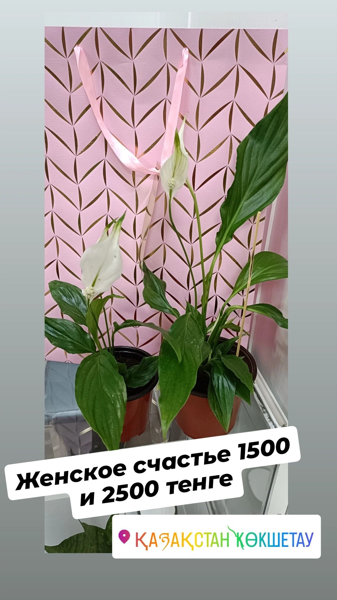 Женское счастье:1500 и 2500 тенге