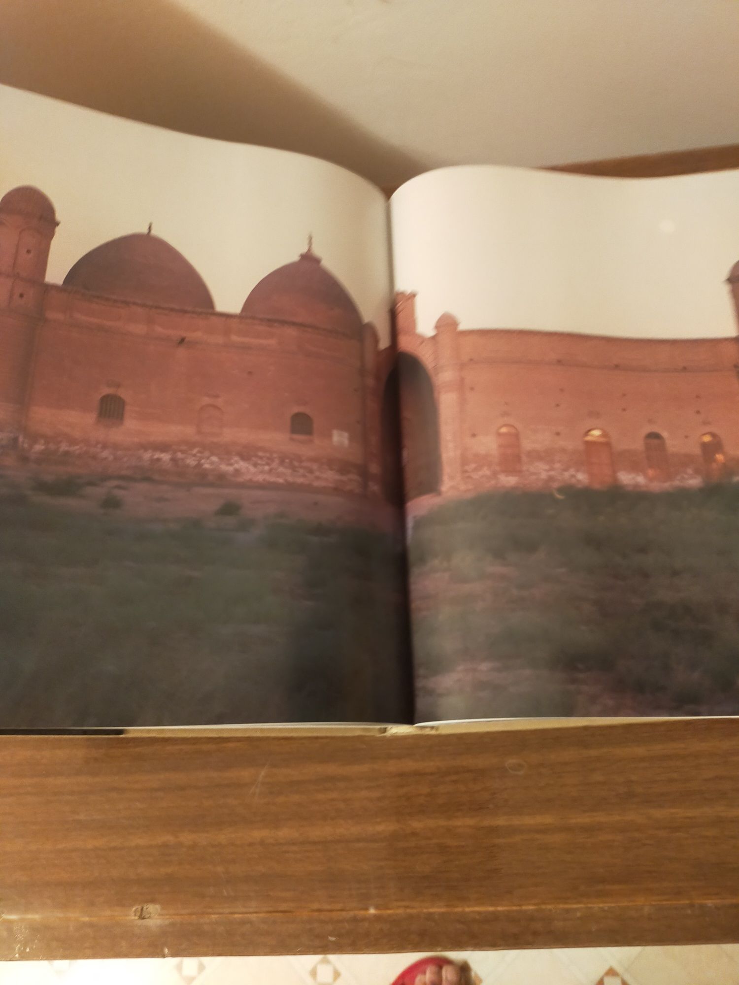 Альбом книга с иллюстрациями