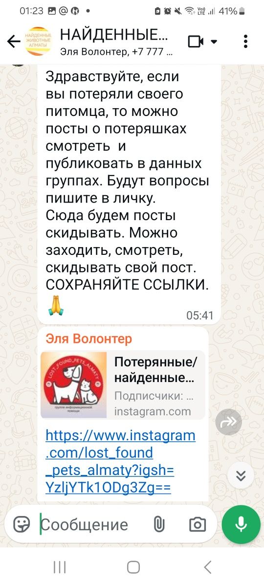 Потерянные найденные породистые дворняжки щеночки кошечки котики котят