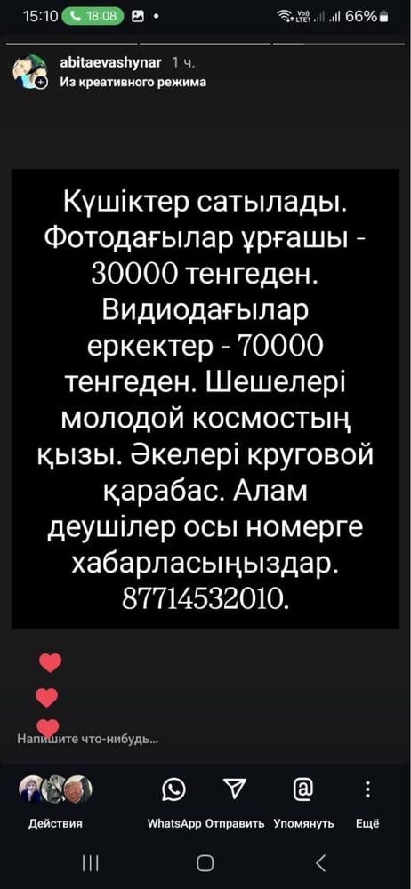Продам щенков алабая , алабайдын күшігін сатамын