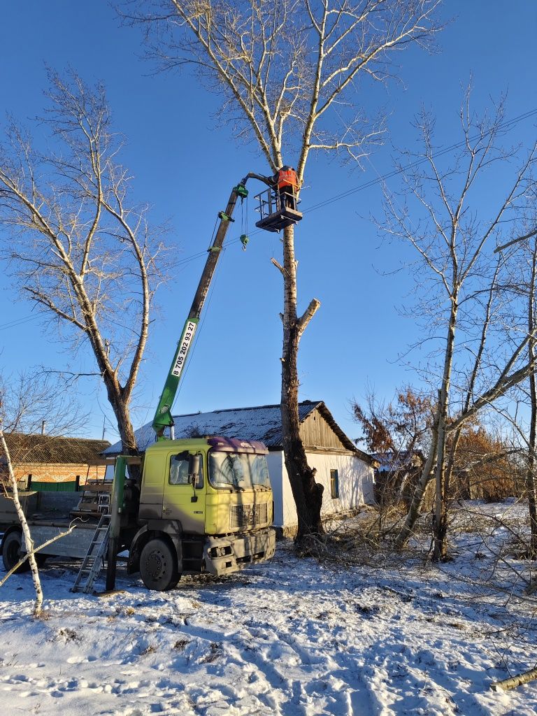 Услуги манипулятора, автовышка