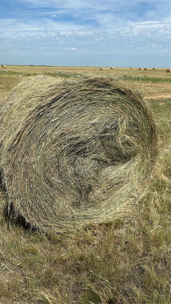 Сено круглый тюк шоп