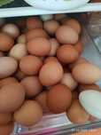 Продам яйца домашние