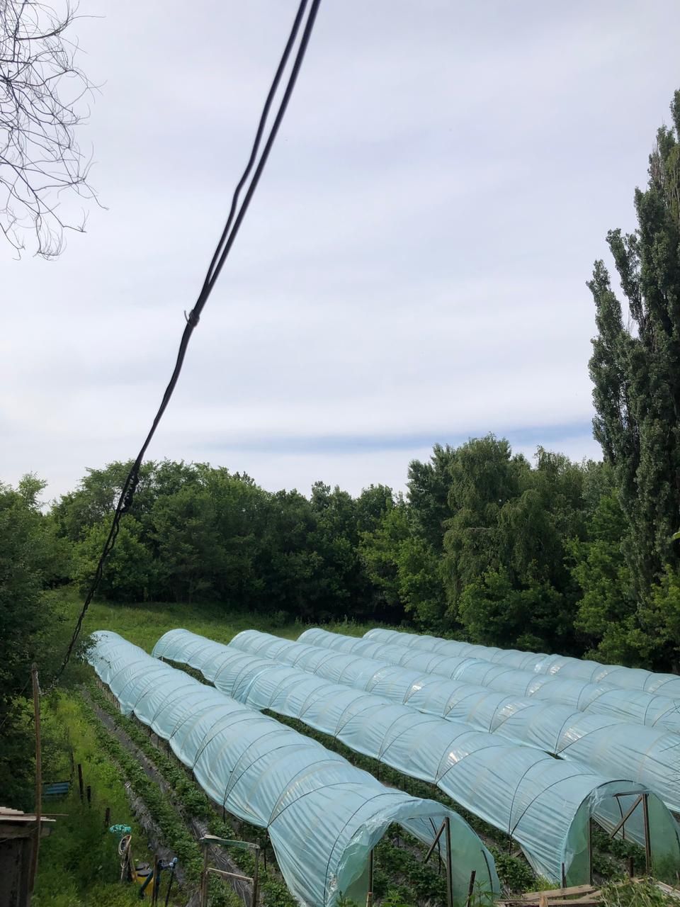 Продам дом, ескелдинской район, көкжазық