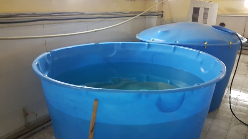 Емкость для воды Лепесток, бак для строительства 5000л