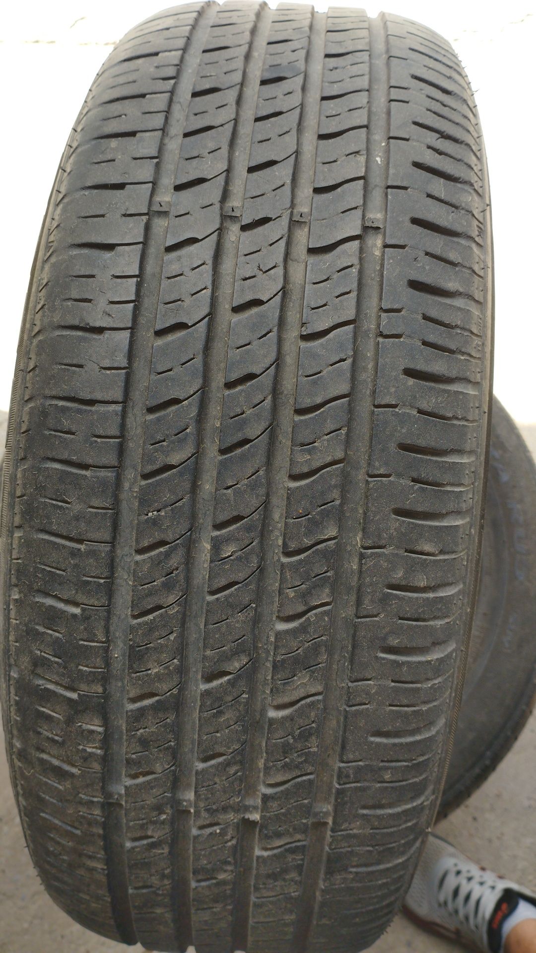 Шины от roadstone