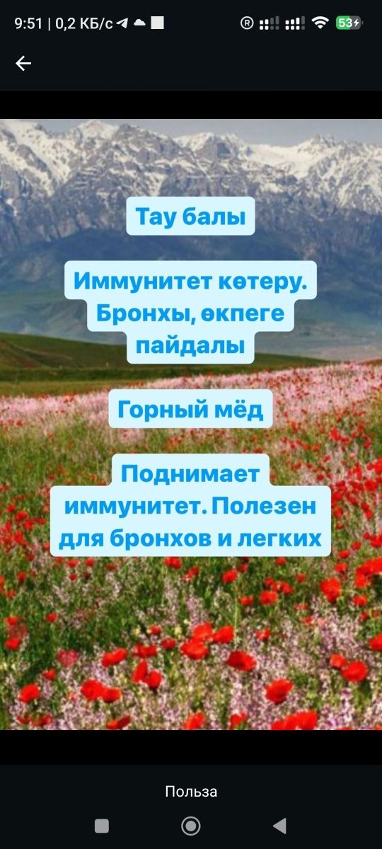 100% Табиғи бал Таза, Мёд Исмаилдан, Қоспасыз Иммунитетке пайдалы!