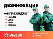 Дезинфекция Помещений Оброботка От Клопов Крыс Грызунов Есть Гарантия