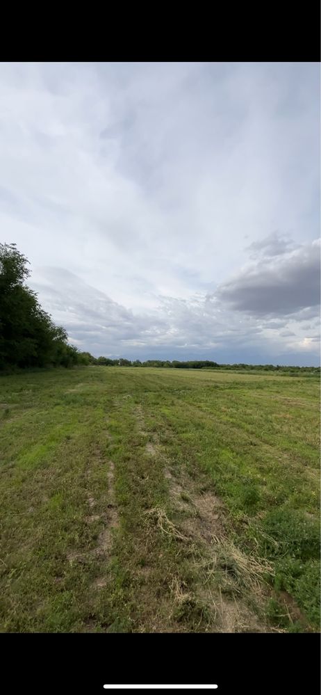 егіншілік жер, 3 гектар