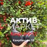 Наушники Sony | Актив Маркет