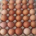 Продам яйцо домашних курей