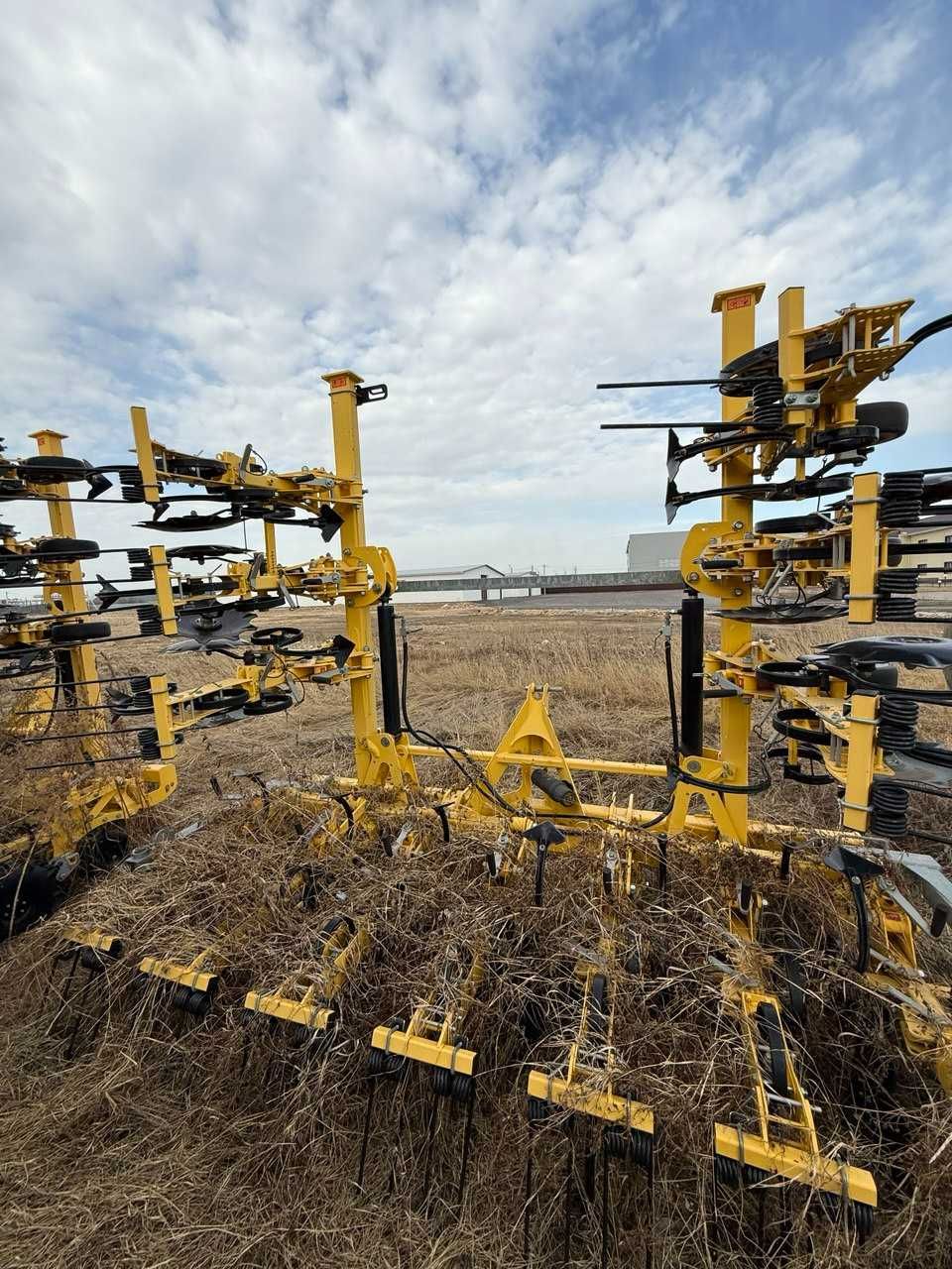 Штригельная борона BEDNAR ROW-MASTER RN 6000 S