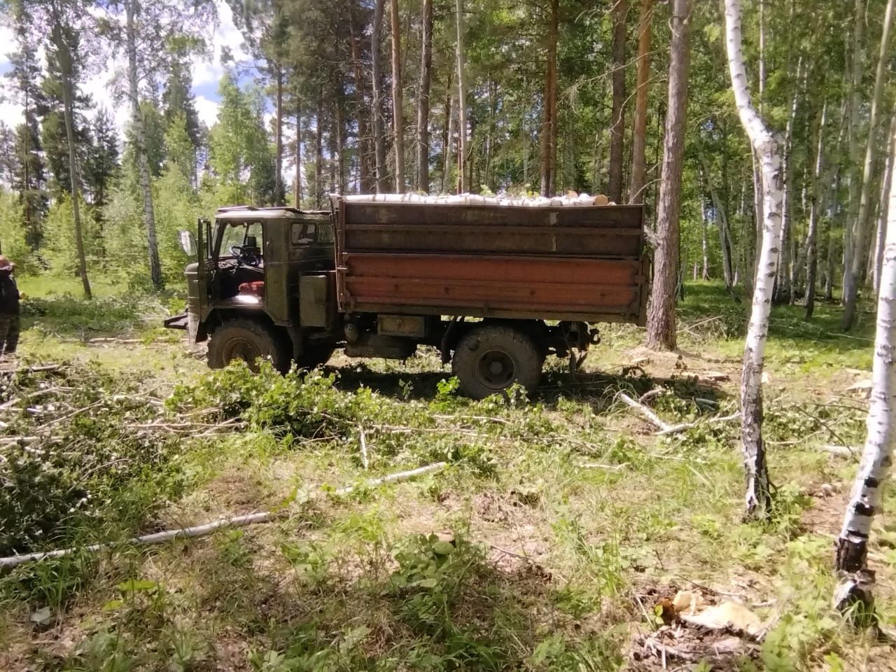 Продам дрова разные.Это пример загрузки есть разные