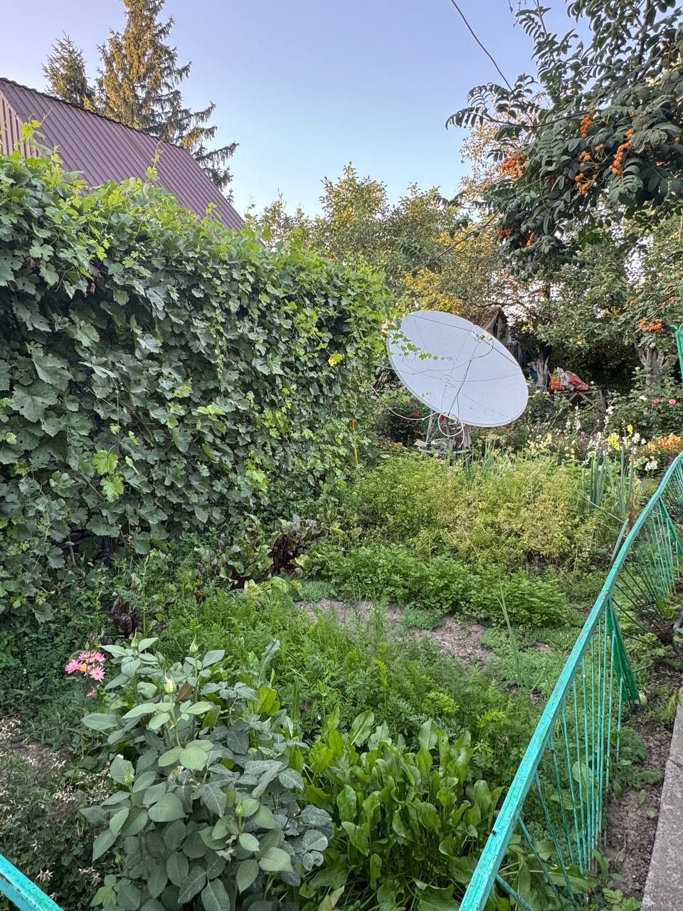 Дача на продажу, находится не доезжая Иссыка (г.Есик), вдоль БАКа