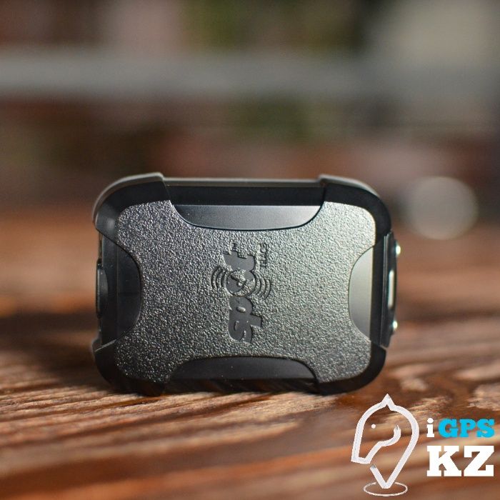 GPS на лошадь в рассрочку