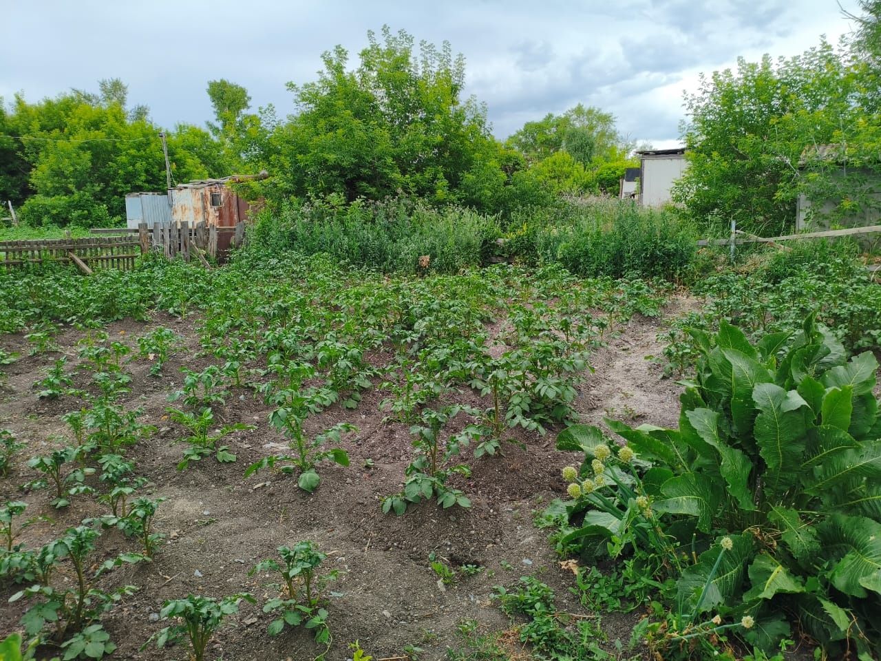 Продам дом частный