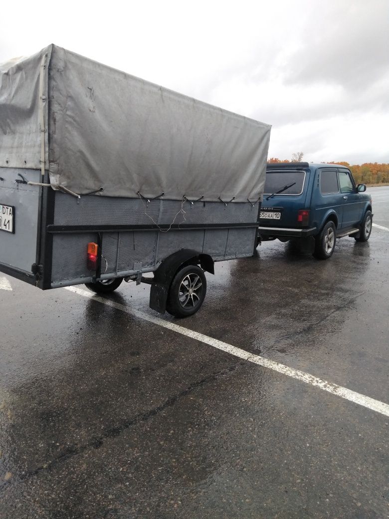 Перевозка скота лошадей