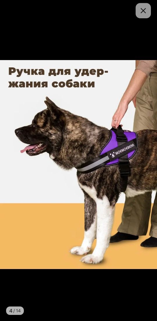 Шлейка для собаки, размер XL (новая)
