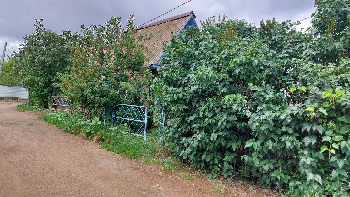Продам дачу в черте города.