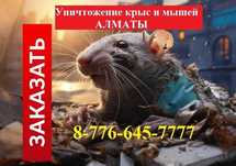 ‼️Мыши‼️Крысы‼️Блохи‼️Тараканы‼️Клопы‼️Мухи‼️Клещи‼️Комары‼️Казцик
