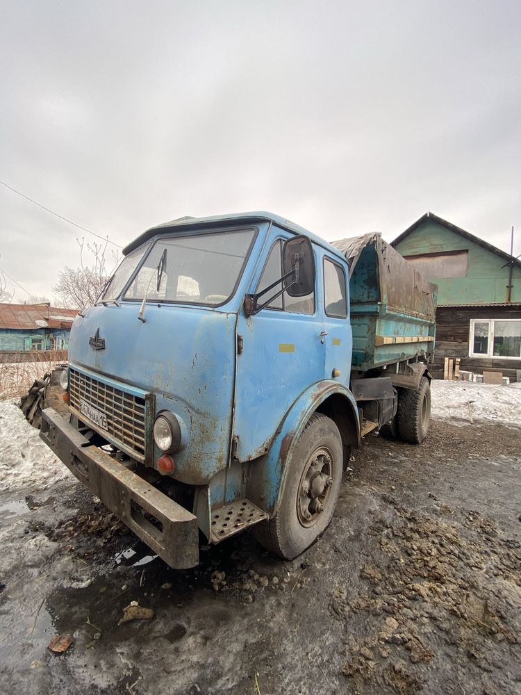 Рабочая лошадка !