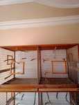 Клетки для птиц амадинов,канареек