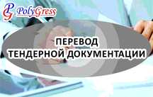 Перевод тендерной документации