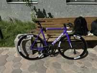 Fixed Gear TSUNAMI