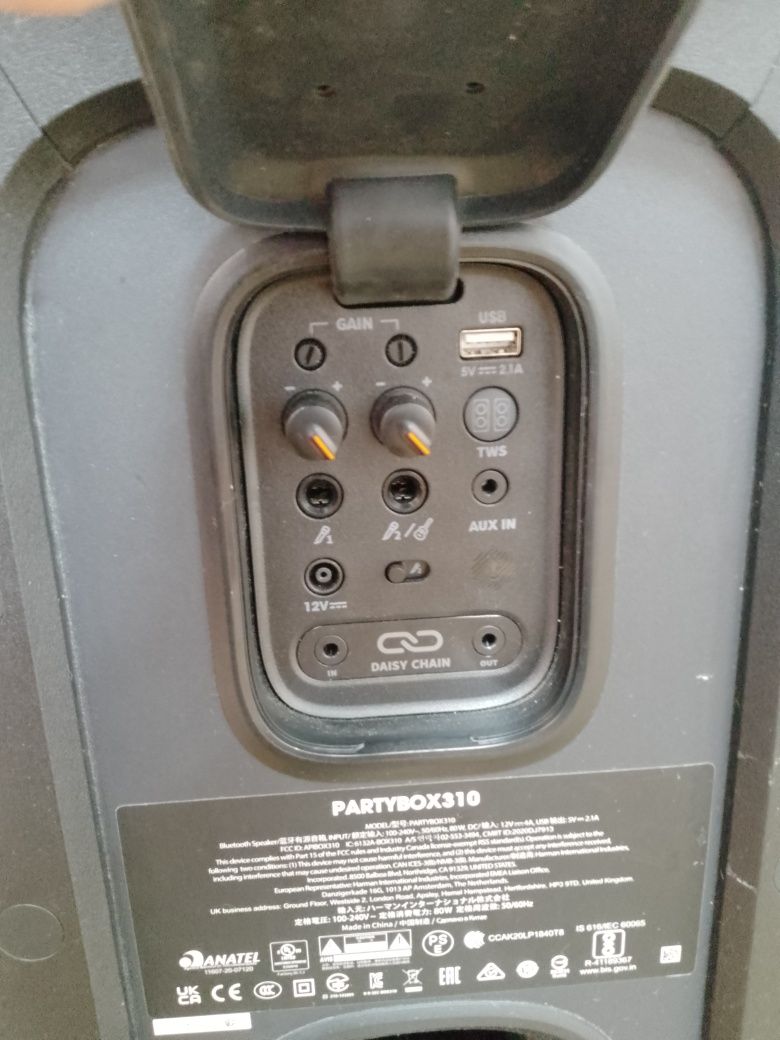 JBL partuboox 310