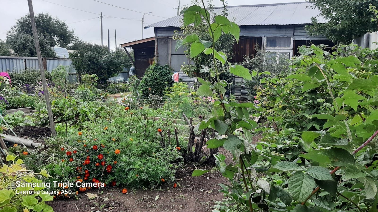 Срочно продам землю с домом.