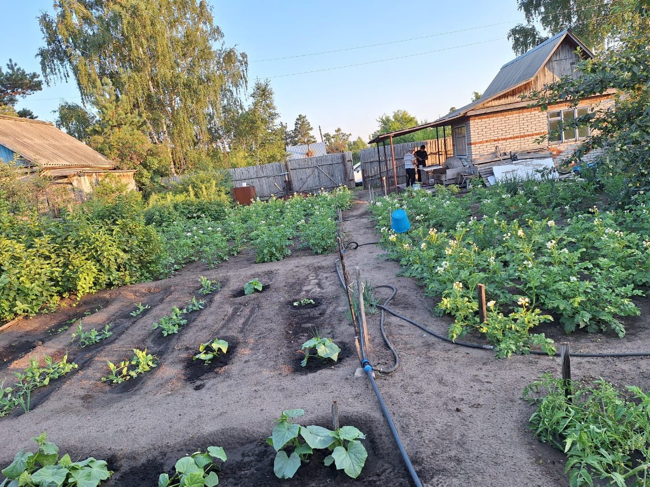 Продам дачу,  Затобольск автомобилист 26 Улица