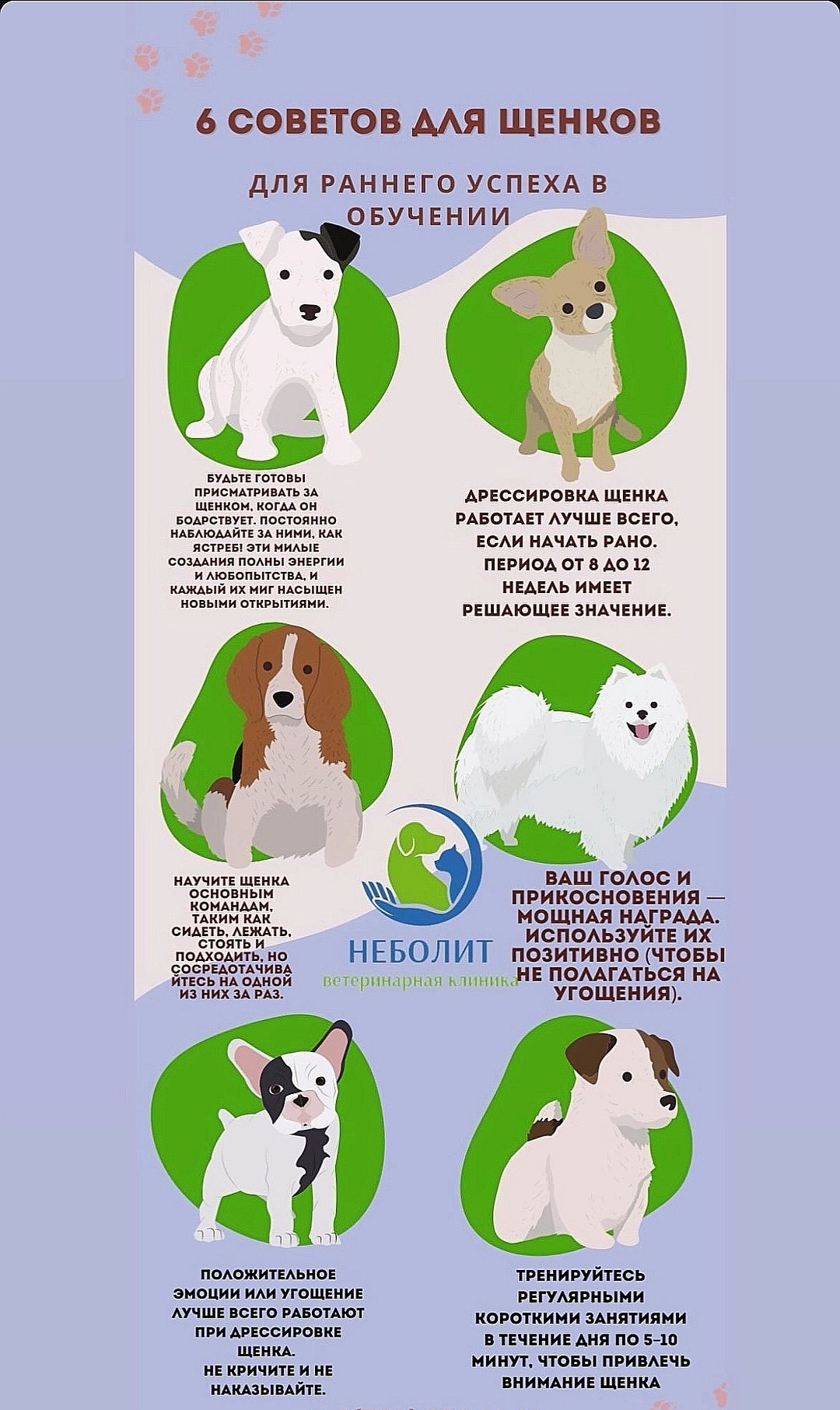 Только ответственным людям