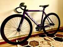 Fixed gear Tsunami