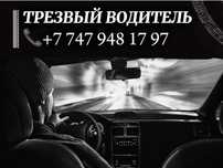 Трезвый Водитель