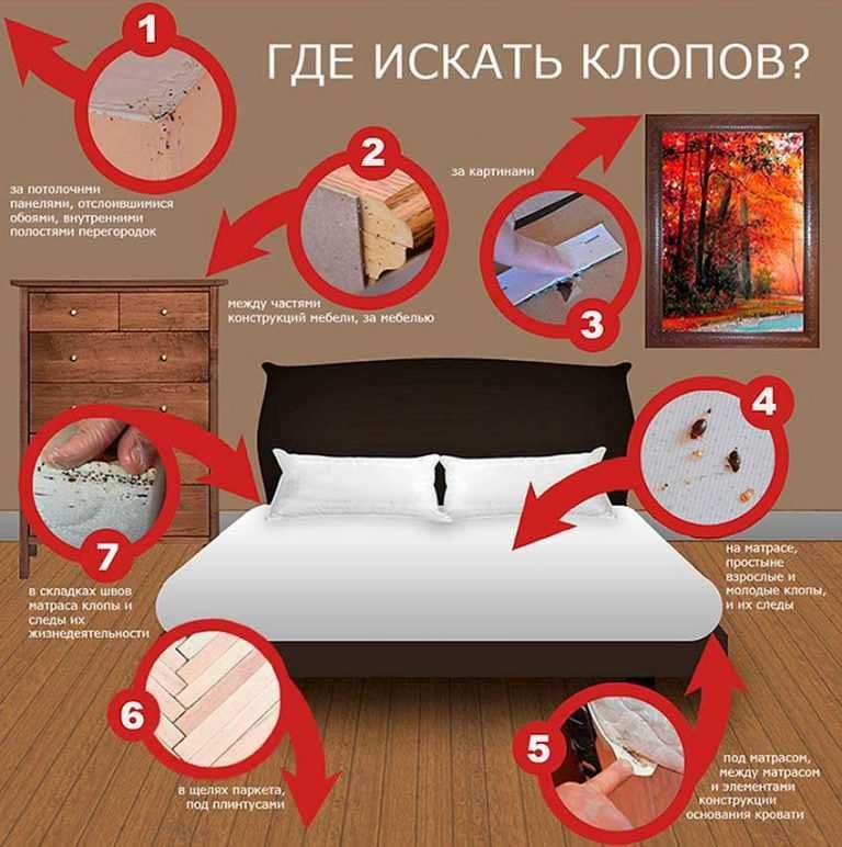 Агран от клопов и тараканов