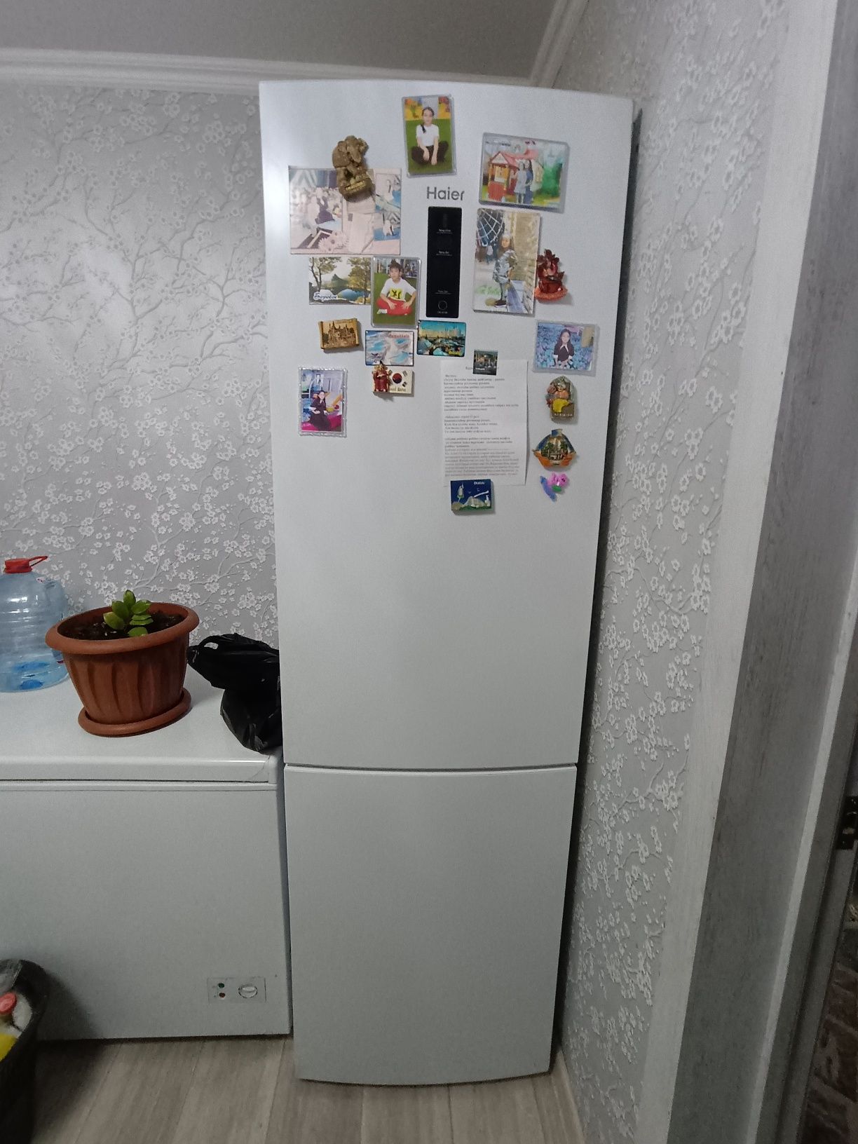Холодильник Haier