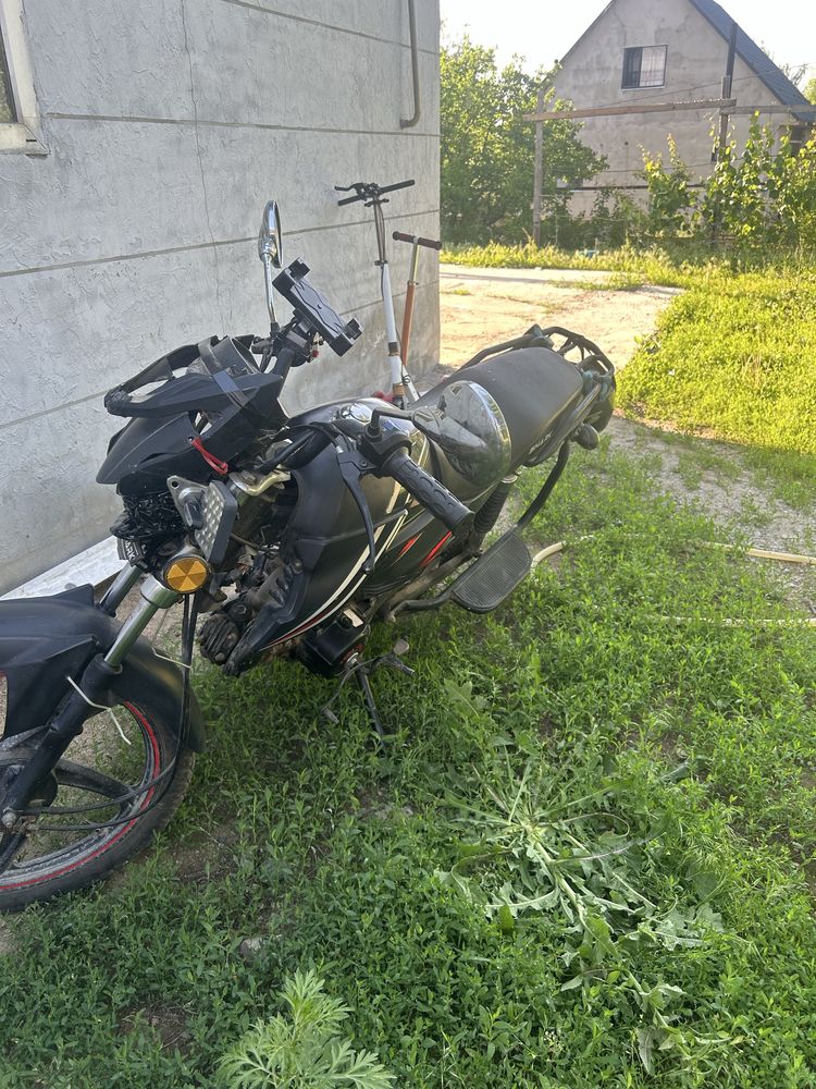 Альфа шарк 125 кубов