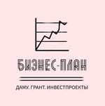 Бизнес план для ДАМУ, Бизнес план Алматы МФО, Инвестор