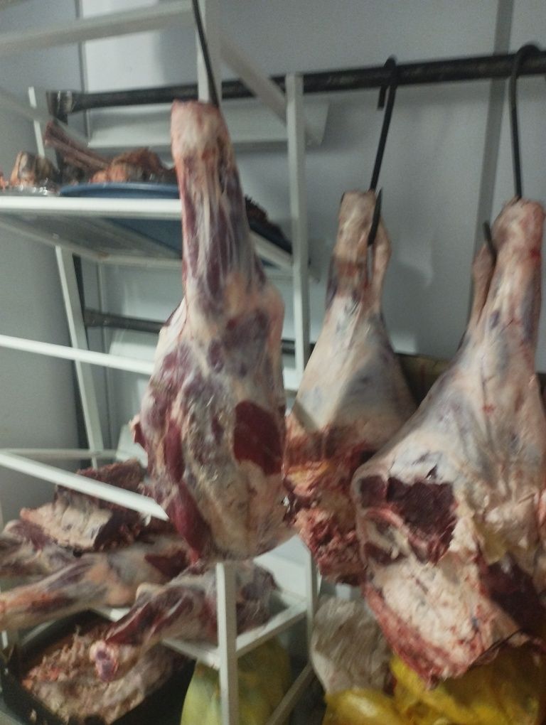 Задние ляжки говядина короткое ребро говядина баранина
