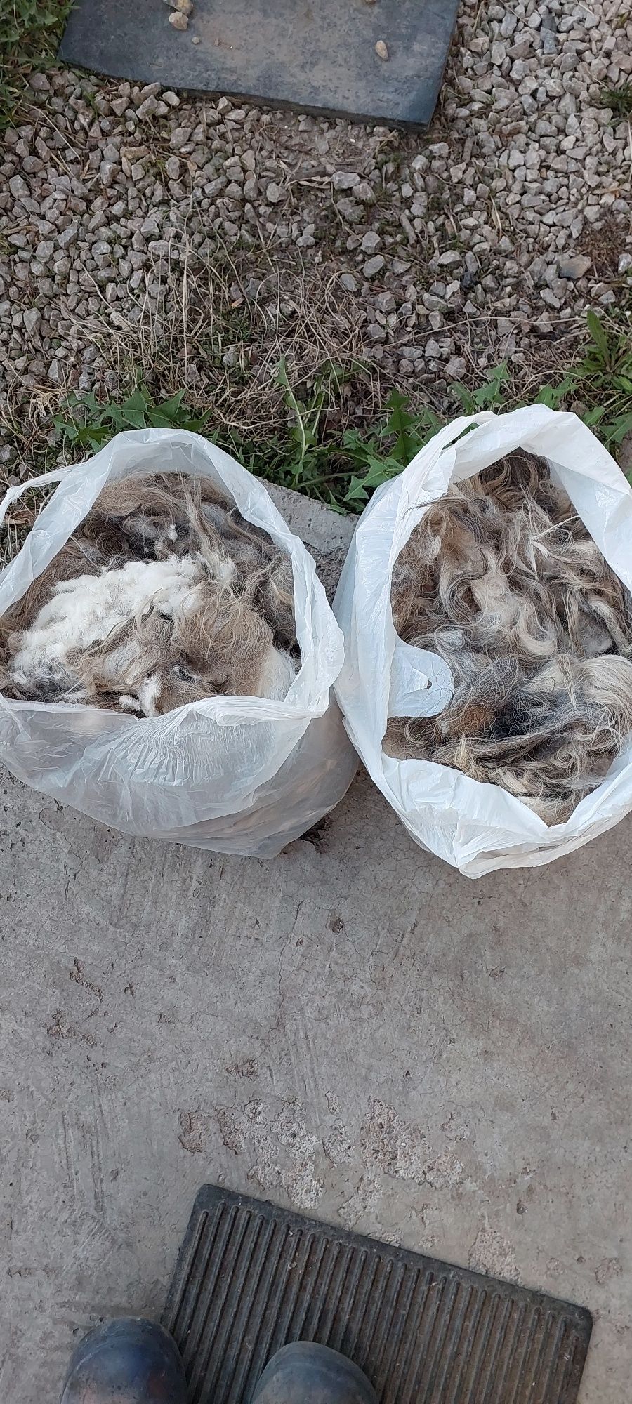 Продам шерсть собаки