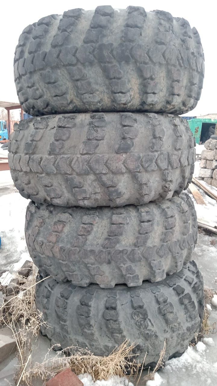 Покрышки КамазТарос
