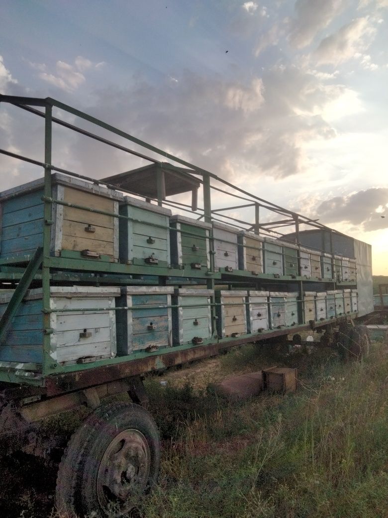 Продам 2 павильон