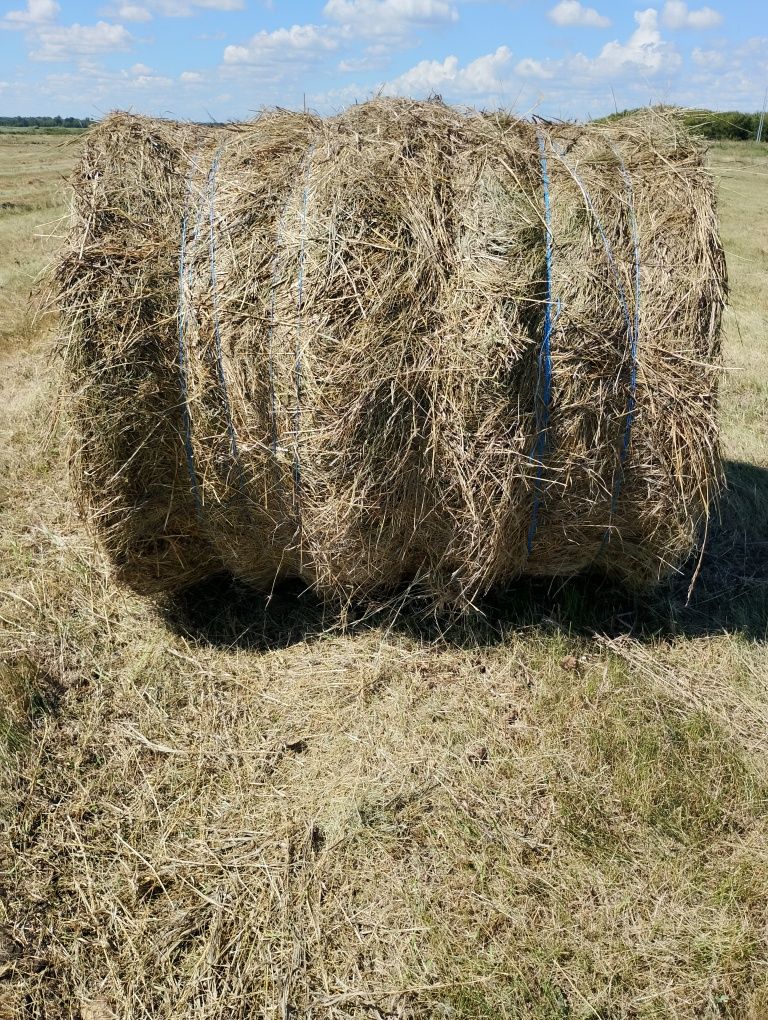 Сено разнотравье