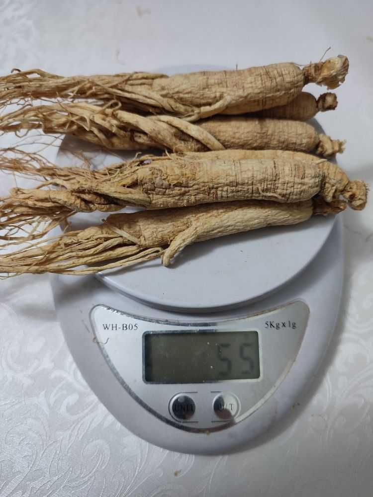 Корень женьшеня сушеный