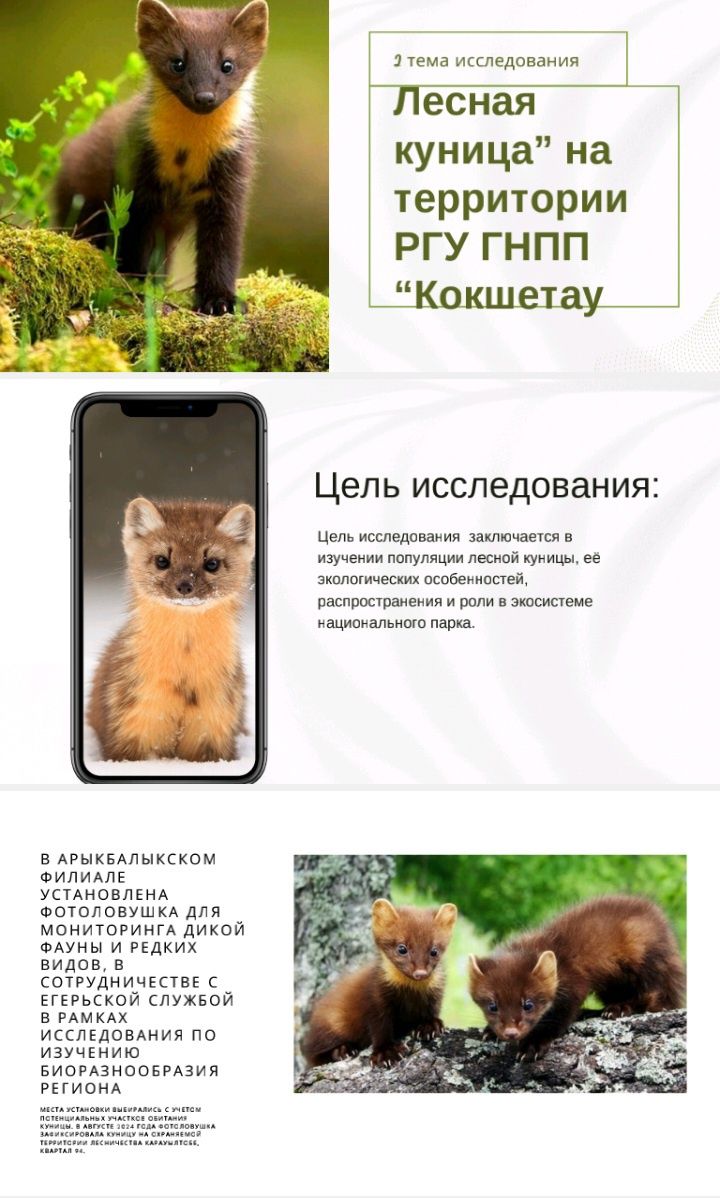 Презентации, курсовые, дипломные, магистерск. проведу через антиплагиа