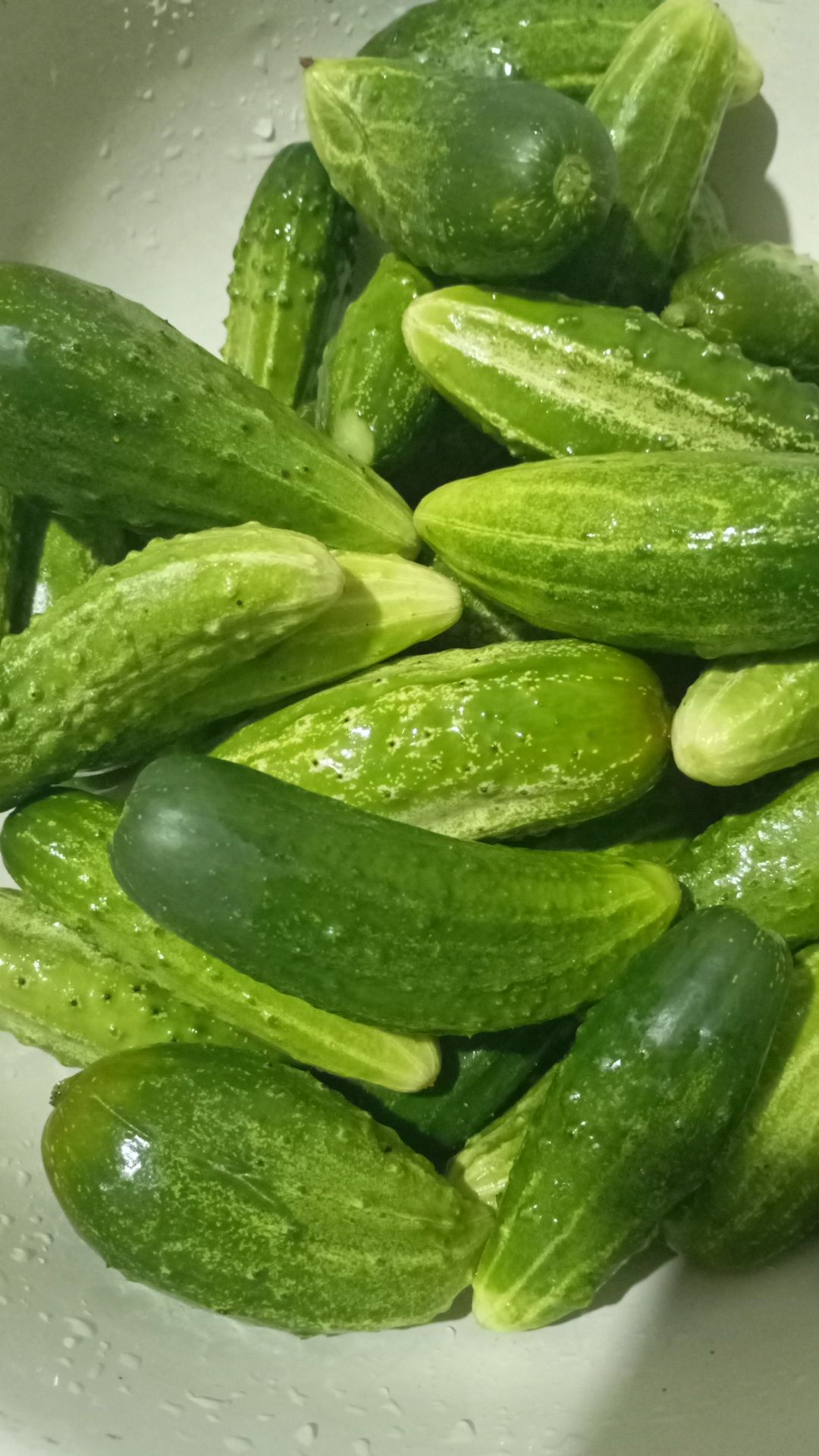 Продам вишню есть доставка можно заказать заранее крупная  кабачки и т
