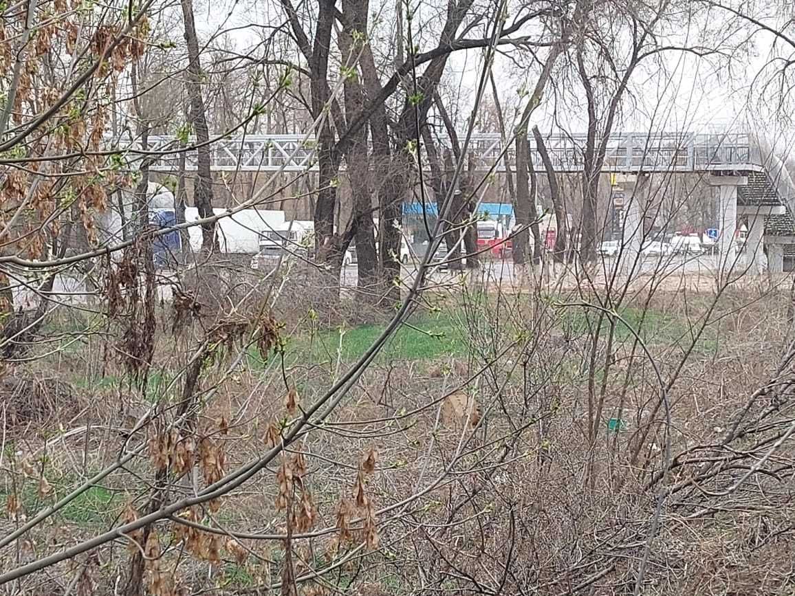 Коммерческий участок вдоль трассы
