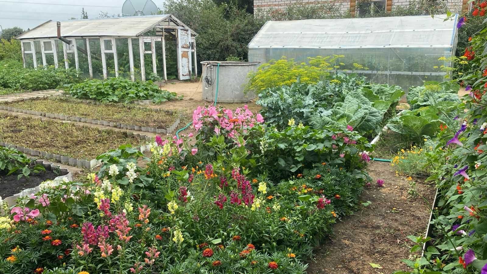 Срочно продам дом в поселке Петерфельд