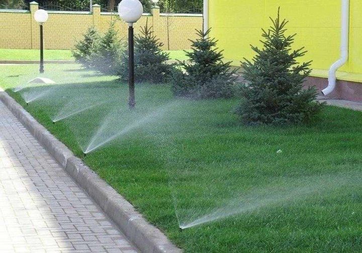Газон. Озеленение. Автополив.