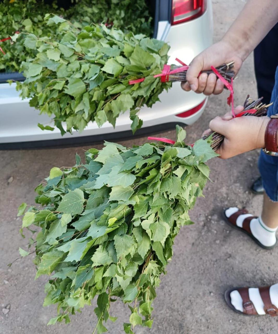 Продам берёзовый веник свежий